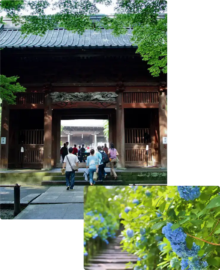 鎌倉