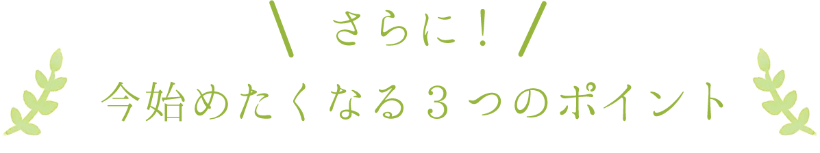 今始めたくなる3つのポイント